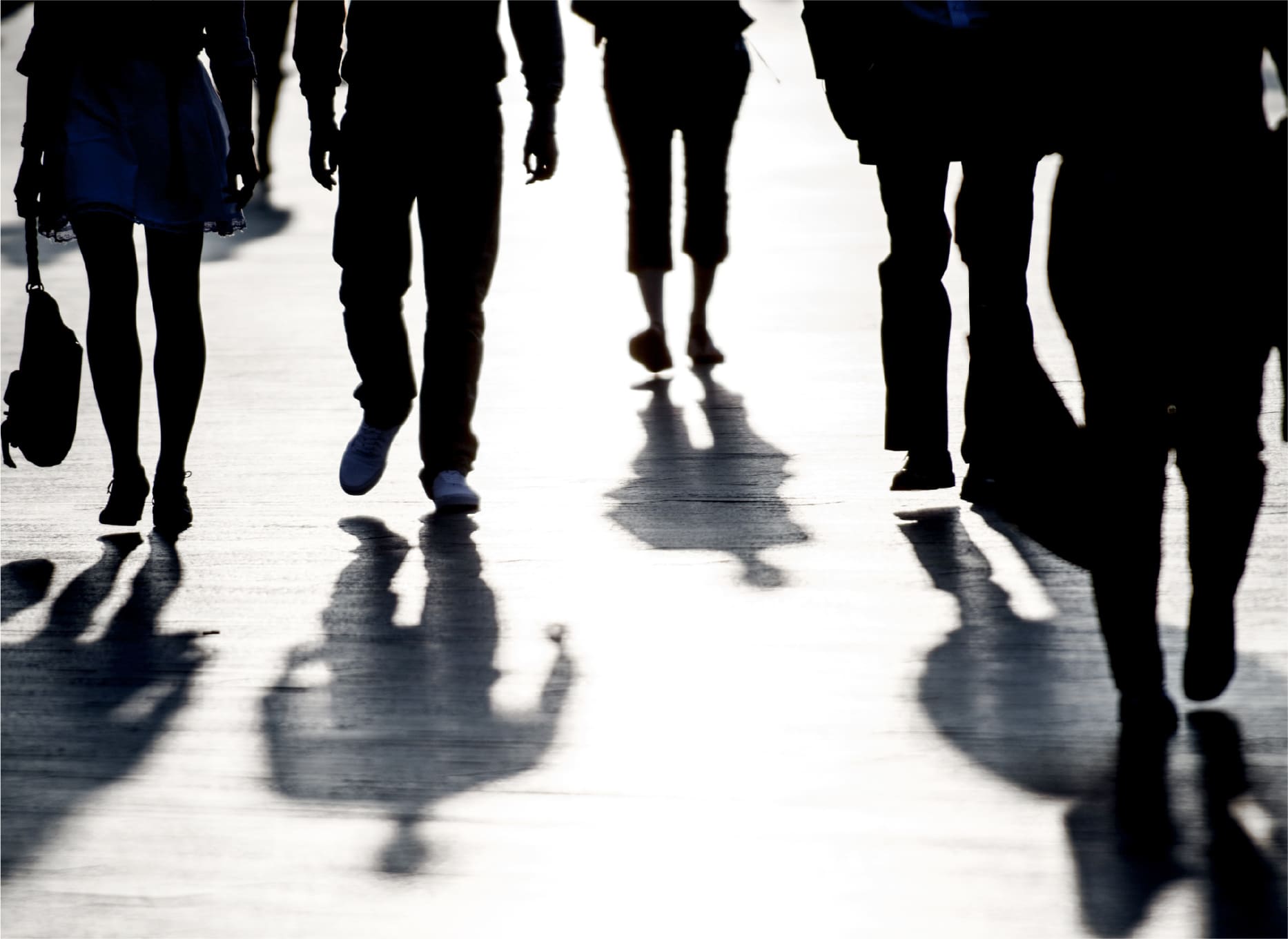 ライバルが少ない。だから重宝される。